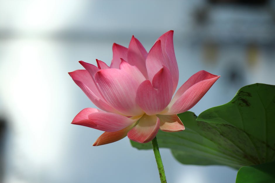 年金的故事：幽默解讀與數據背後的真相