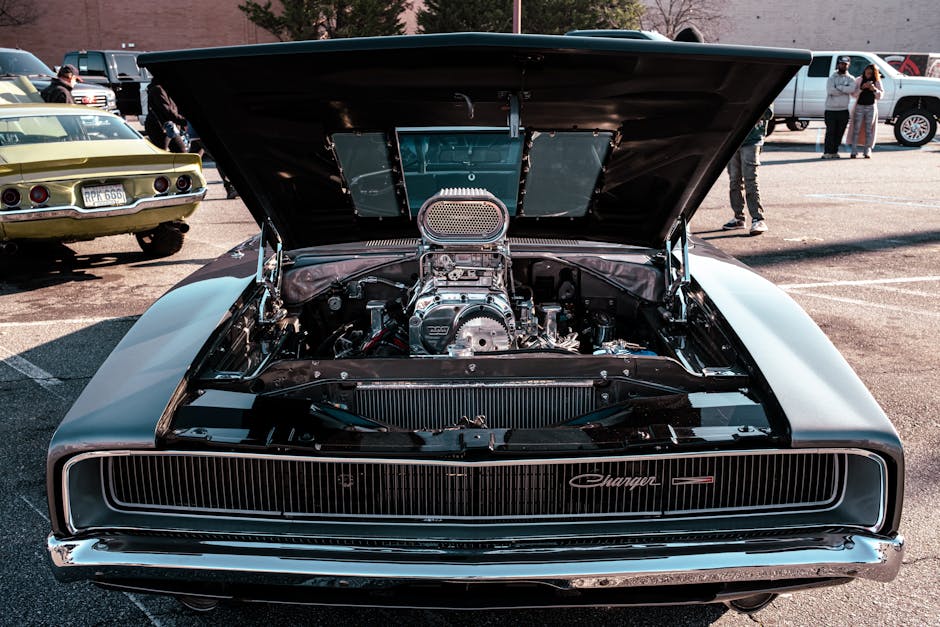 熊貓針的秘密：揭開都市娛樂新潮流